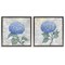 Stupell Industries Blue Hydrangea Garden Blooms 2pc Floating Frame Set By Paul Brent